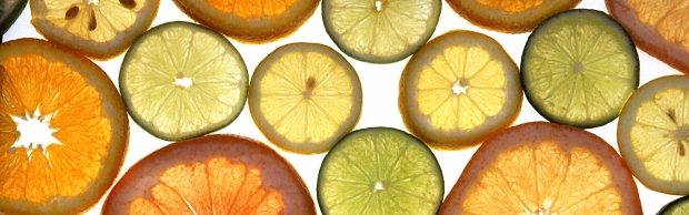 Mojito Citrus Essential Oil Blend | Aromatherapy | Spring Break Refresher